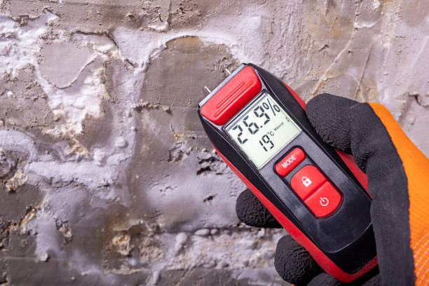 Best Mold Testing and Removal  in Vallejo, CA