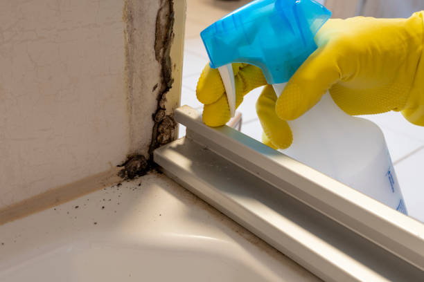 Best Mold Testing  in Vallejo, CA