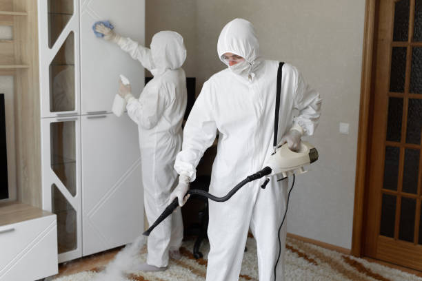 Best Crawl Space Mold Removal  in Vallejo, CA