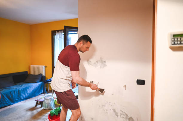 Best Mold Removal Near Me  in Vallejo, CA